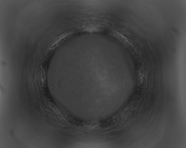 X0000090701158200708031407