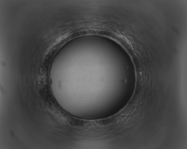 X0000090701159200708031407