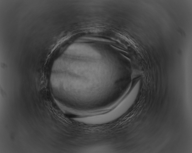 X0000090701160200708031407