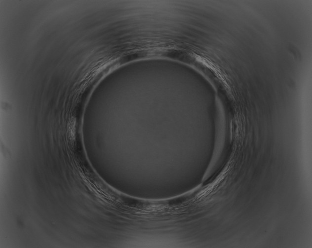 X0000090701161200708031407