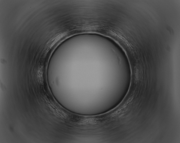 X0000090701162200708031407