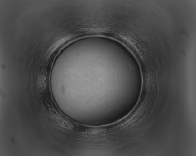 X0000090701163200708031407