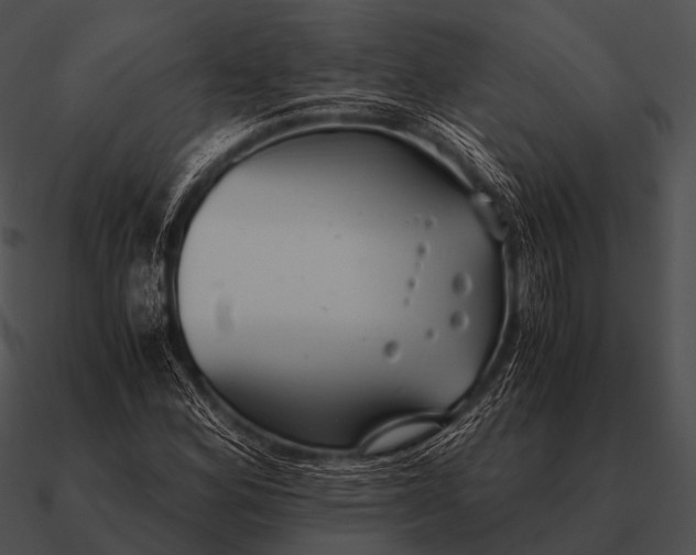 X0000090701164200708031407