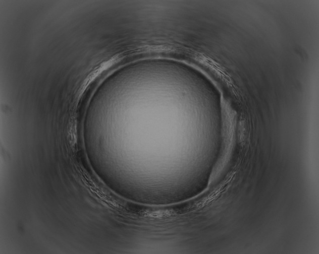 X0000090701165200708031407