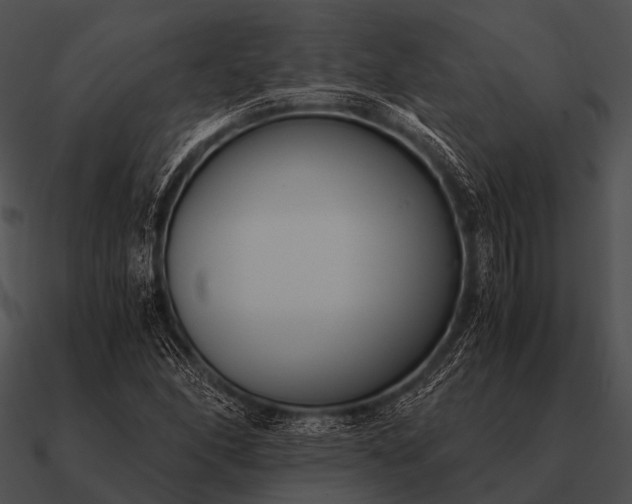 X0000090701166200708031407