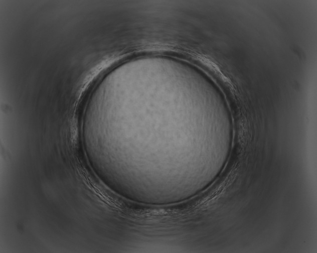 X0000090701167200708031407