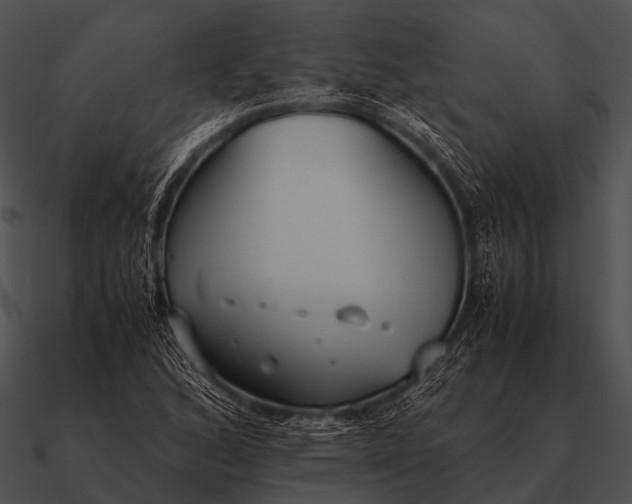 X0000090701168200708031407