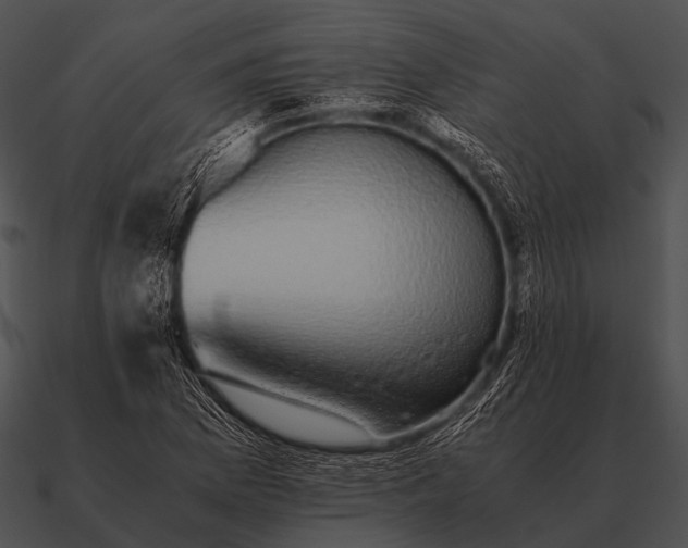 X0000090701169200708031407