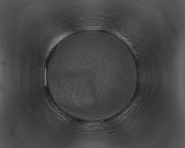 X0000090701171200708031407