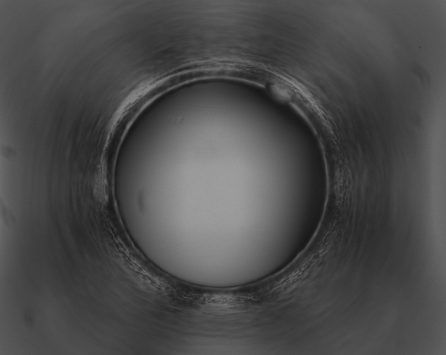 X0000090701172200708031407