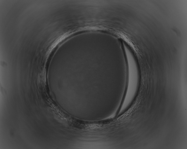 X0000090701173200708031407