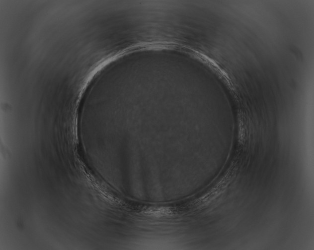 X0000090701174200708031407