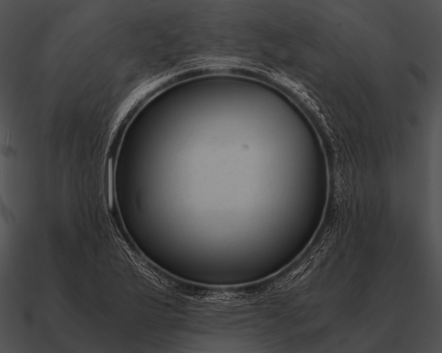 X0000090701175200708031407