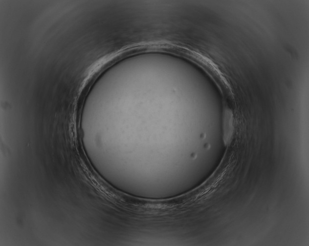 X0000090701176200708031407