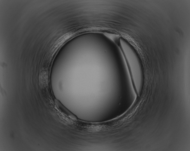 X0000090701177200708031407