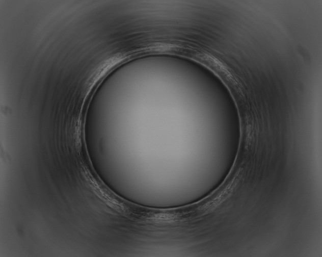 X0000090701178200708031407