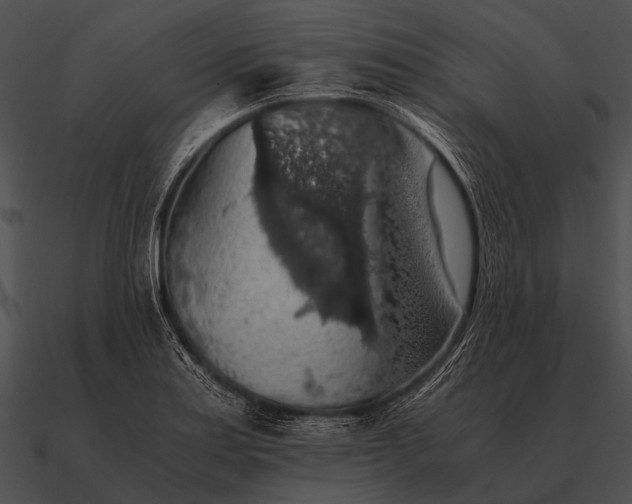 X0000090701179200708031407