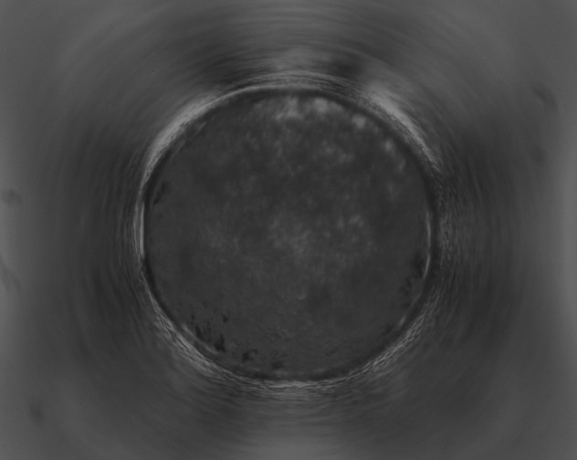 X0000090701180200708031407