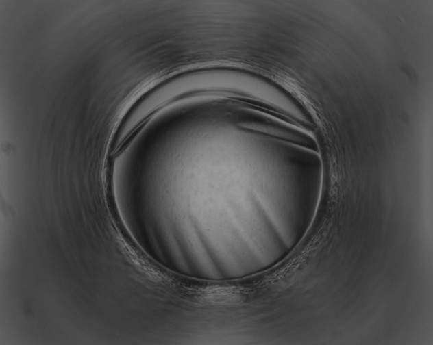 X0000090701181200708031407