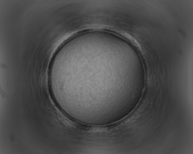 X0000090701183200708031407