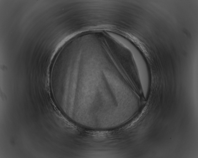 X0000090701184200708031407