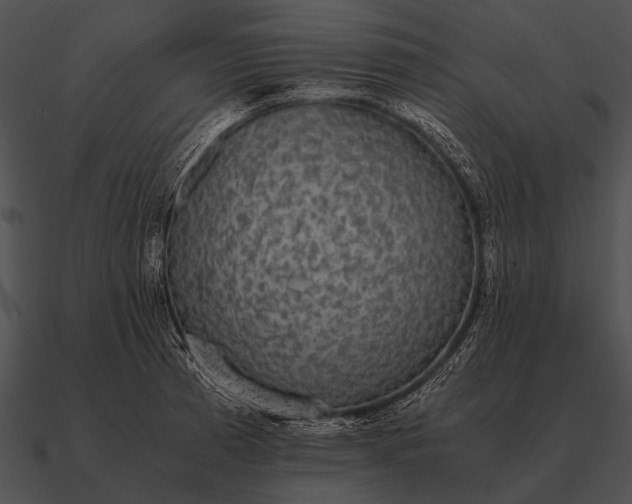 X0000090701185200708031407