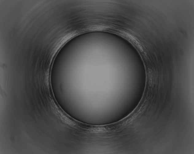 X0000090701186200708031407