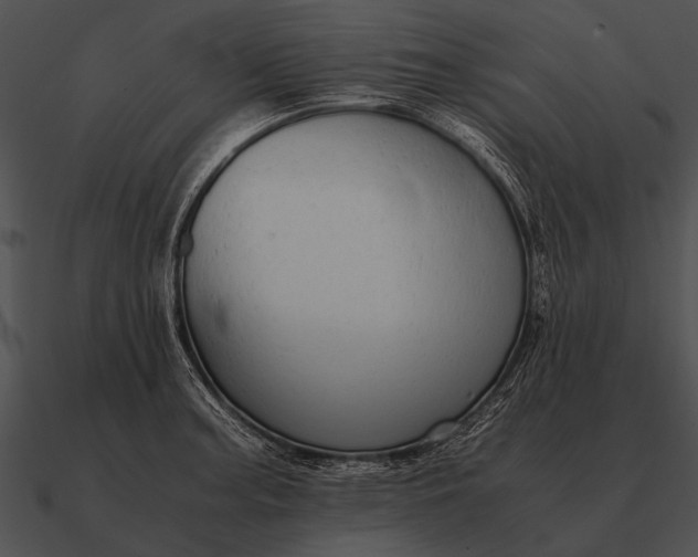 X0000090701187200708031407