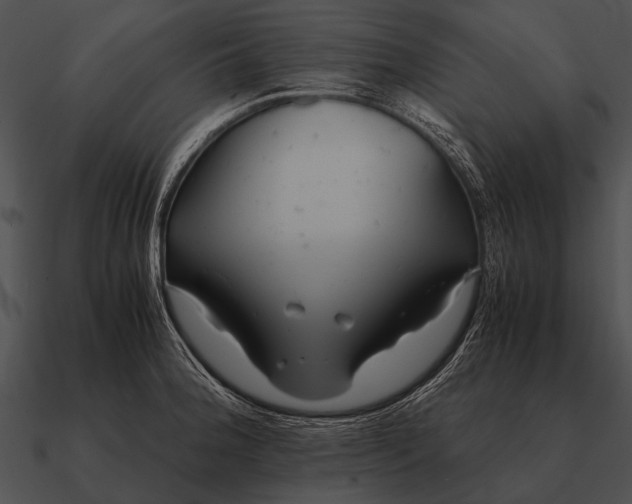 X0000090701188200708031407