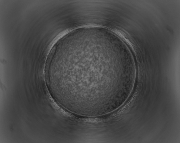 X0000090701189200708031407