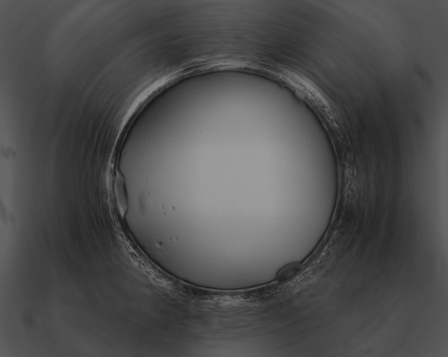 X0000090701190200708031407