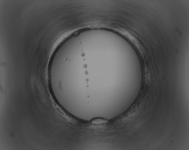 X0000090701191200708031407