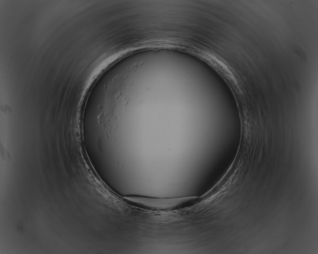 X0000090701192200708031407