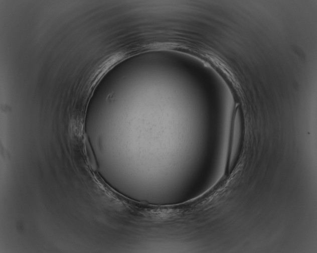 X0000090701193200708031407