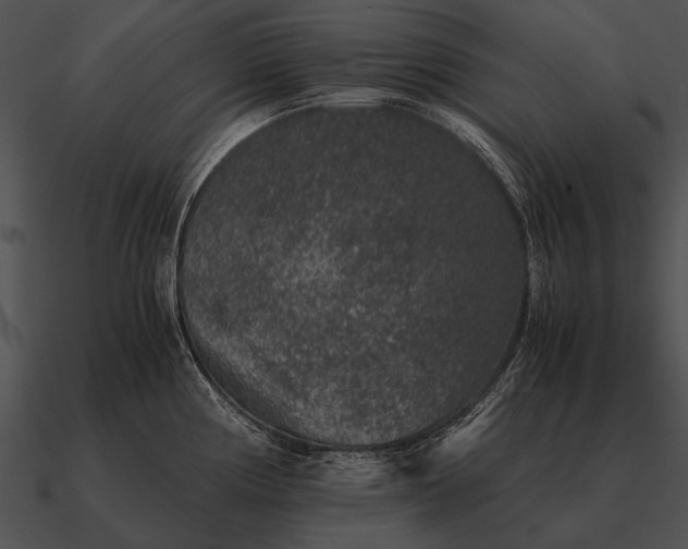 X0000090701194200708031407