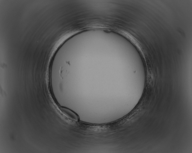 X0000090701195200708031407