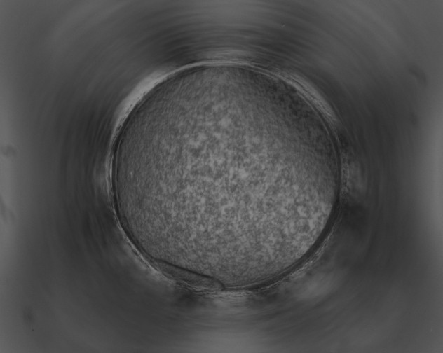 X0000090701196200708031407