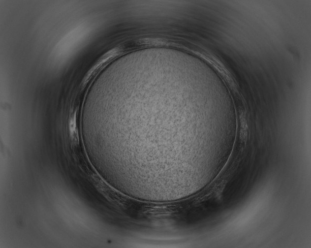 X0000090701198200708031407