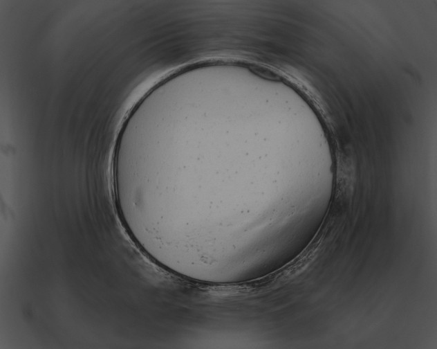 X0000090701199200708031407