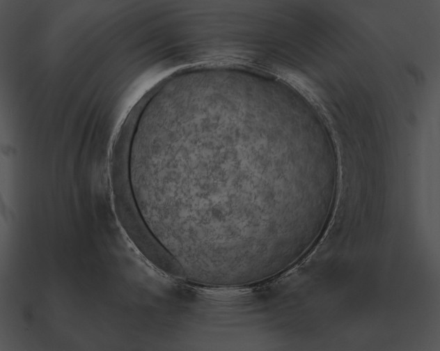 X0000090701200200708031407