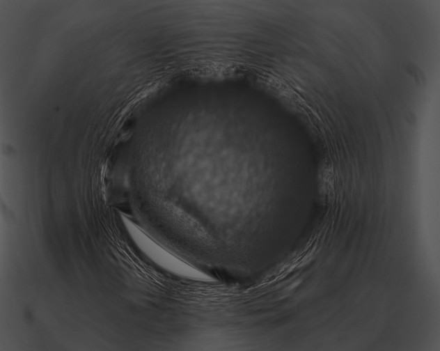 X0000090701202200708031406