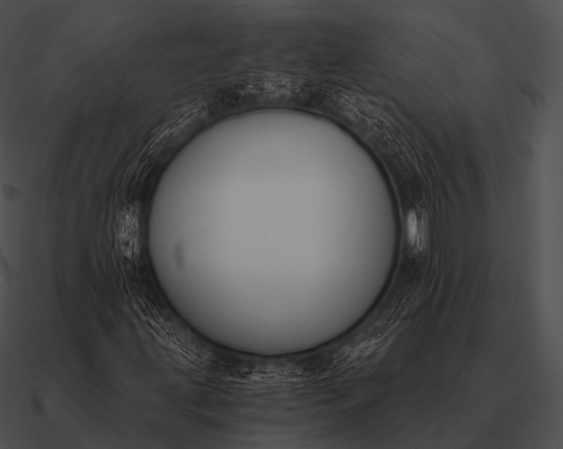 X0000090701203200708031406