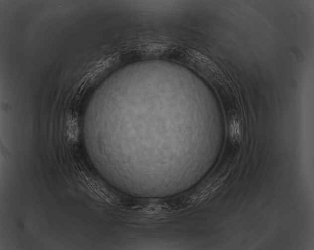 X0000090701204200708031406