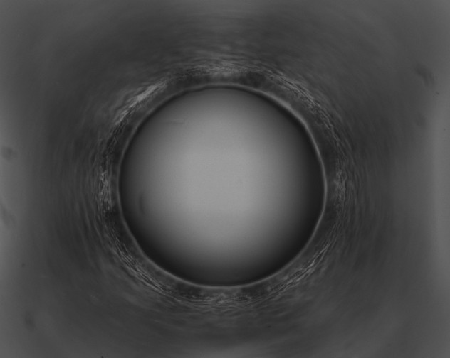 X0000090701205200708031406