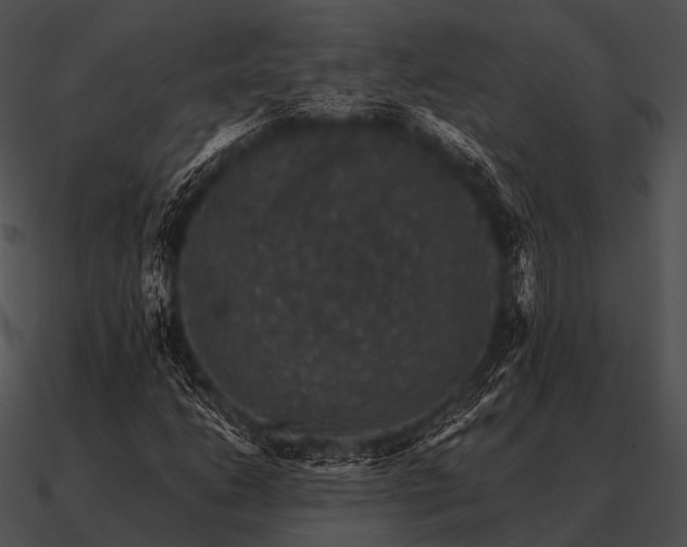 X0000090701206200708031406