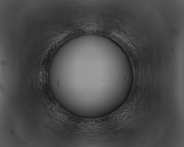 X0000090701207200708031406