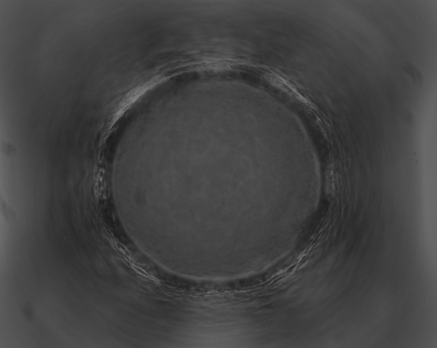 X0000090701208200708031406