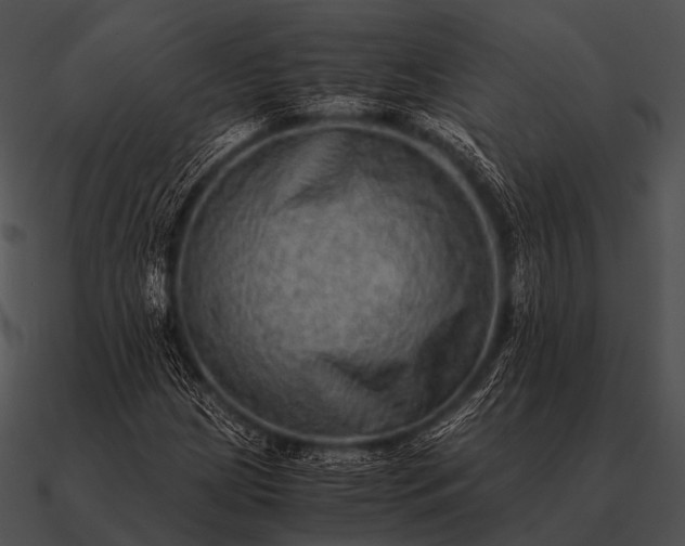 X0000090701209200708031406