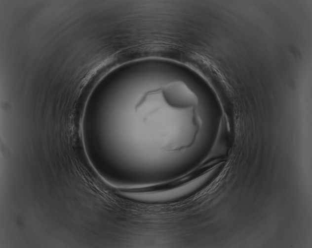 X0000090701210200708031406