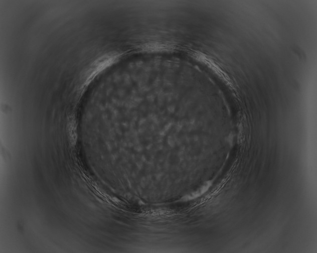 X0000090701213200708031406